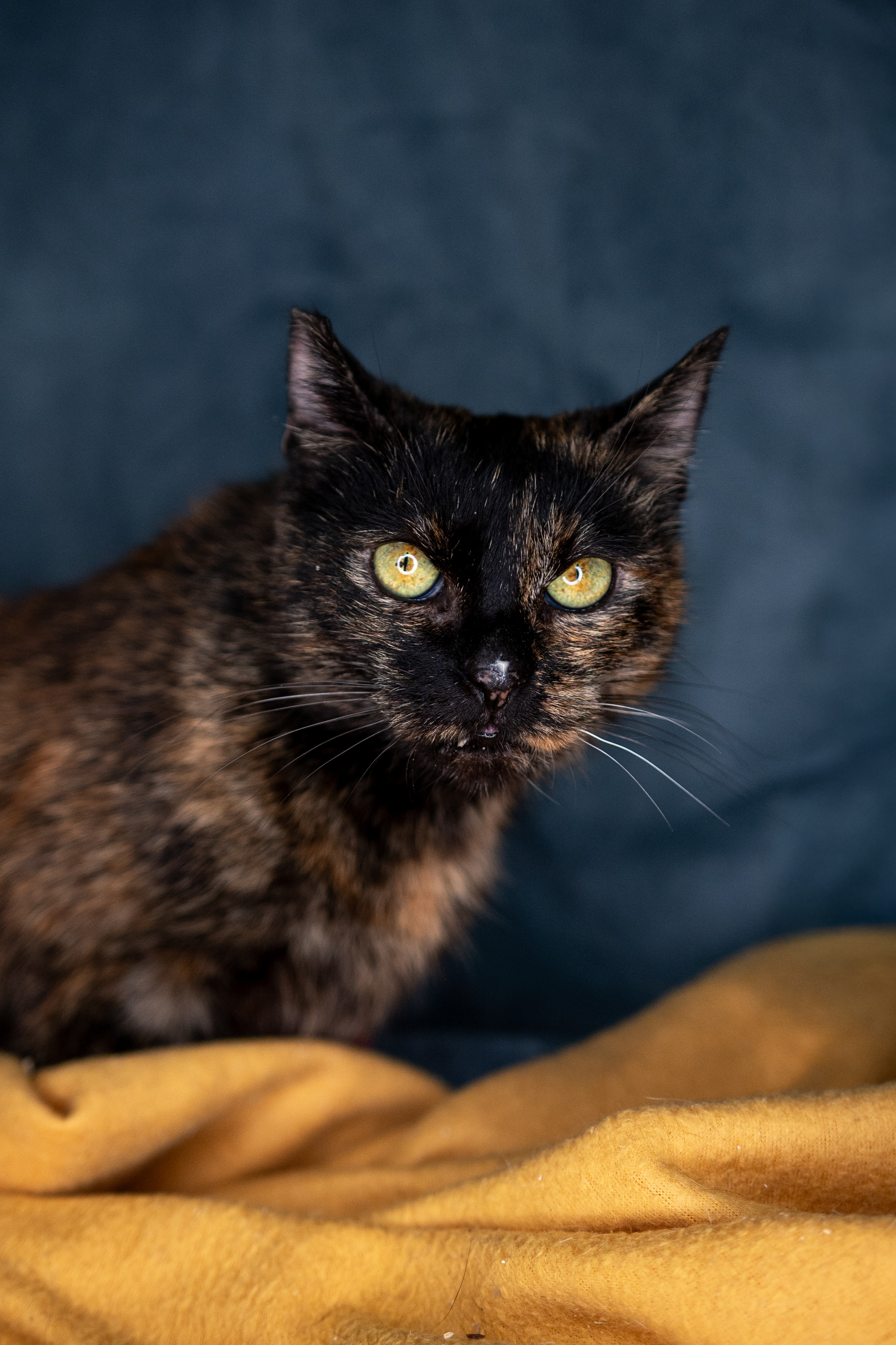 Sabrina